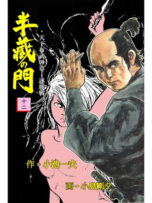 cover image of 半蔵の門12